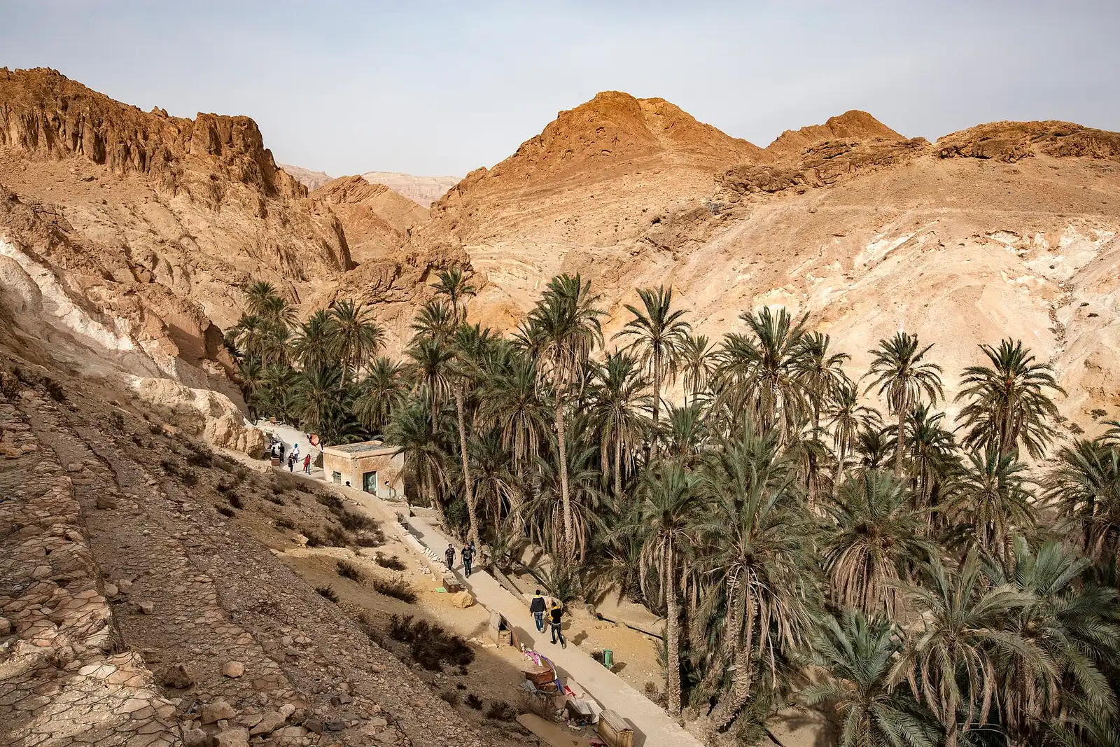 Chebika oasis in its canyon