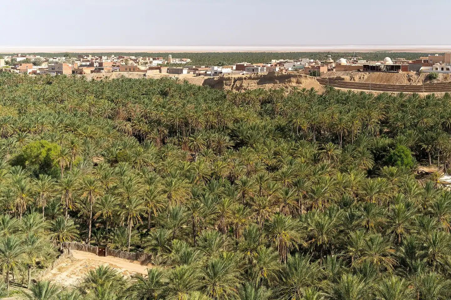 واحة نفطة والمدينة