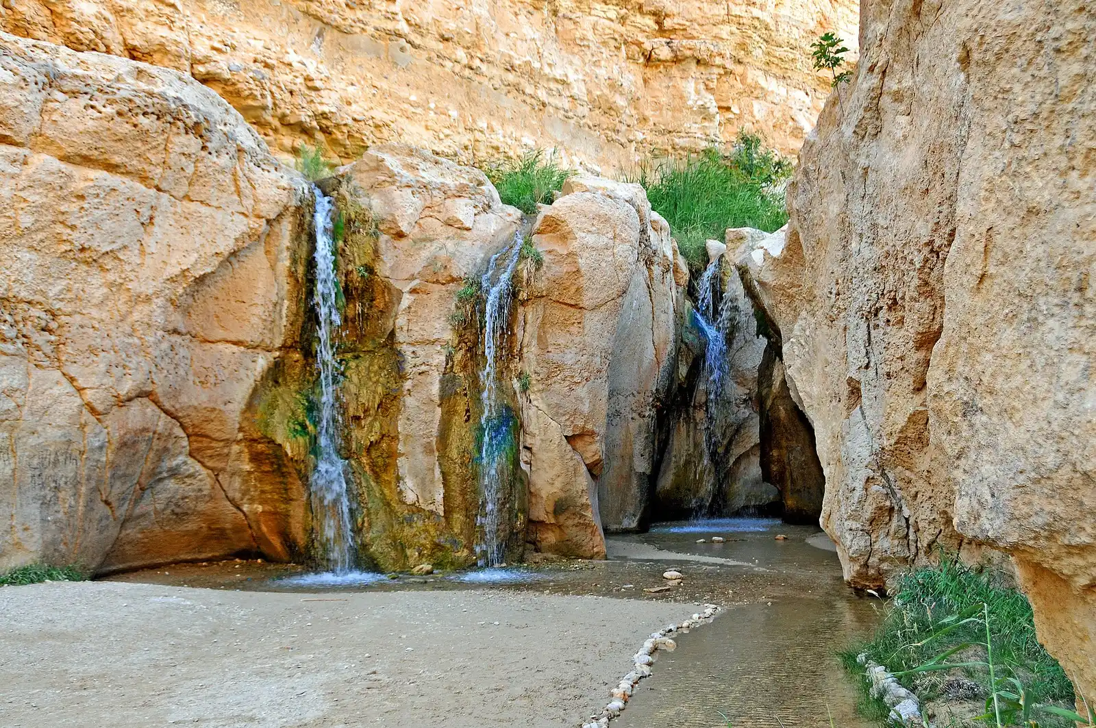 The waterfalls of Tamerza oasis